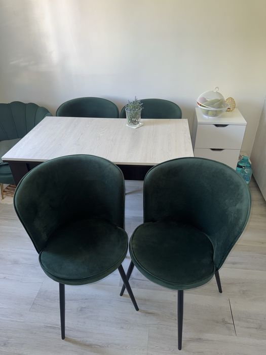 Scaune elegante din catifea