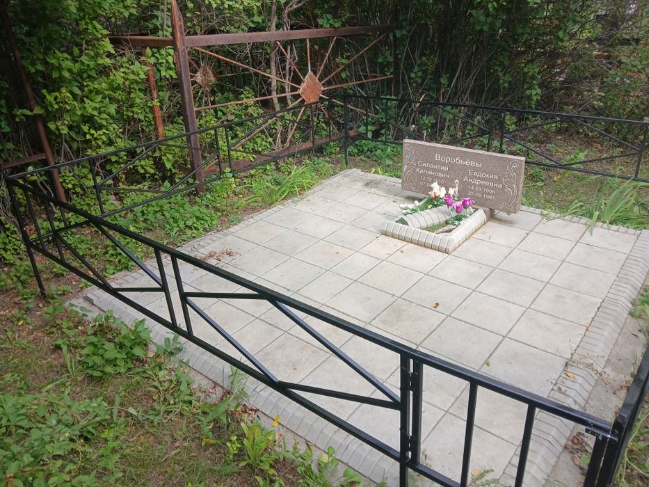 Уборка могилой, облагораживание, спил деревьев, покраска, сварка.