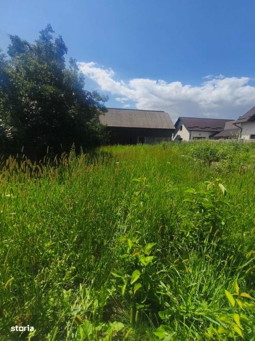 Teren intravilan, 10000mp, zona Maneuti, Radauti