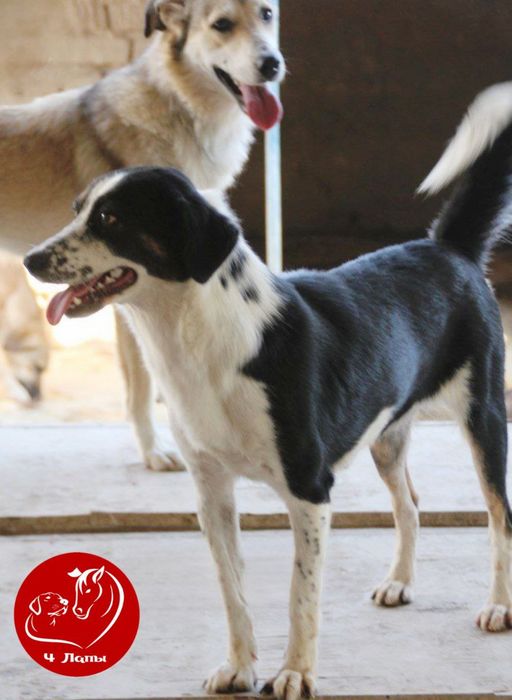 Подари Терезе семью