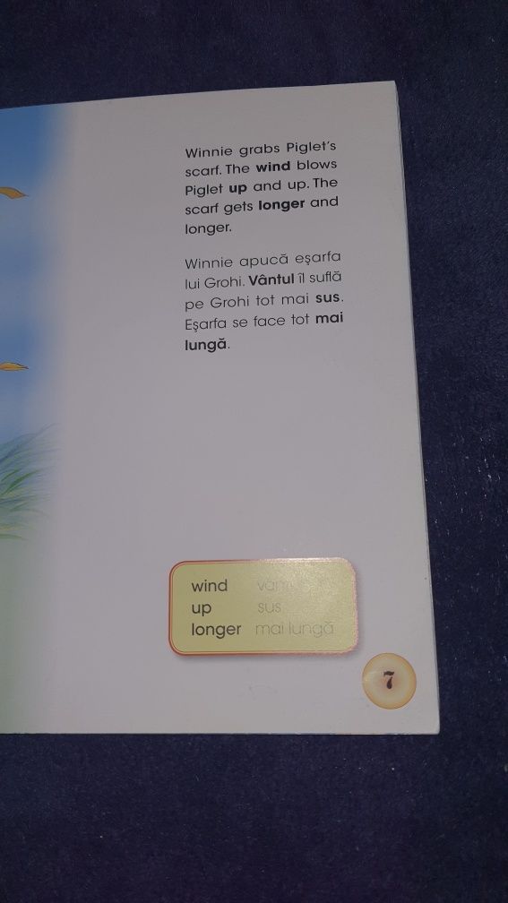 Carte bilingva Winnie