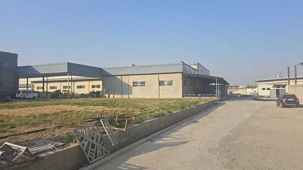 ARENDA Damariq 5000Kv