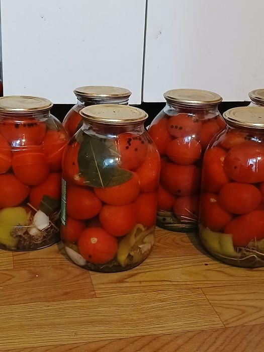 1500тг, соленый помидор