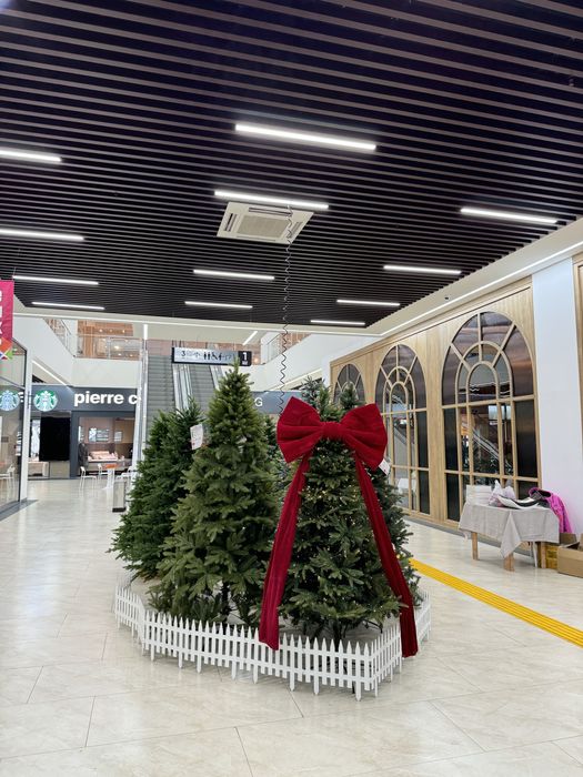 Самые низкие цены на елки