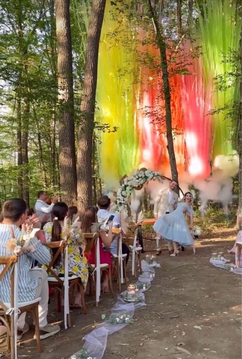 Artificii Gender Reveal - Baby shower -Declansare automata