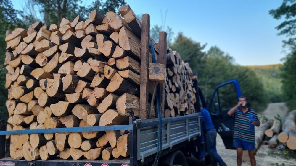 Lemne de foc vara/iarna