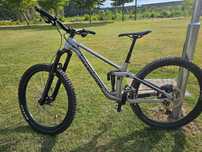Transition Sentinel 29"