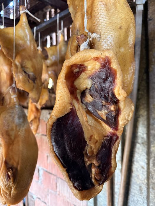 Sunca de rata afumata