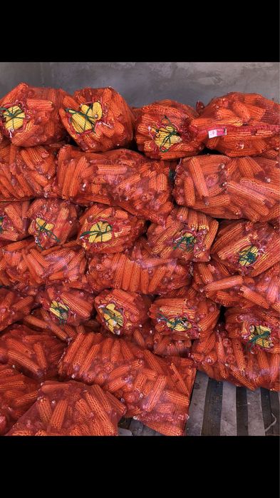 Жүгері сатылады. Кукуруза.