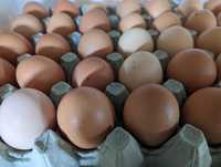 Ouă de la găini crescute la țară, la sol și în aer liber.