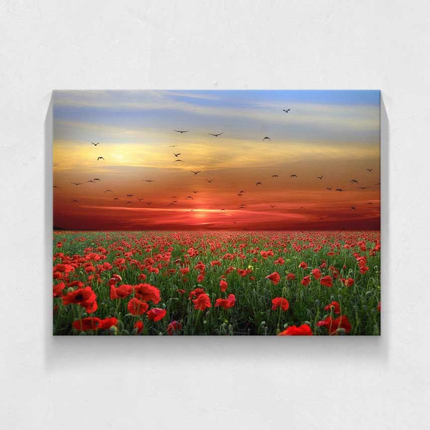 Tablou Canvas, Camp de maci 60x90 cm
