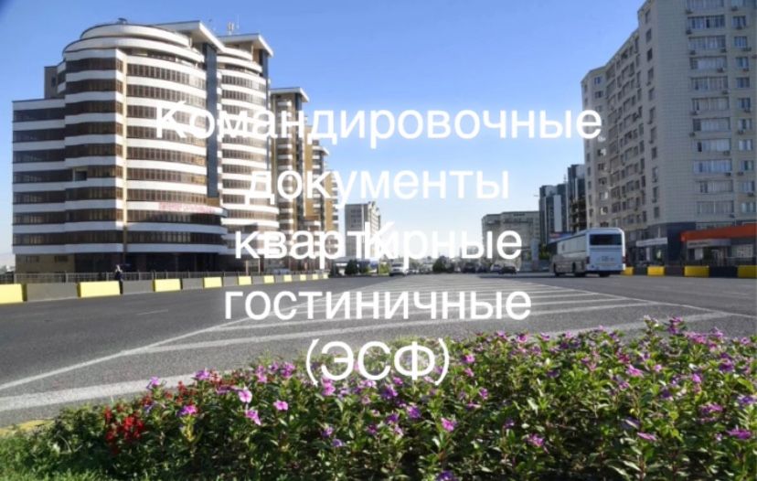 Командировочные документы. (ЭСФ) Квартиры