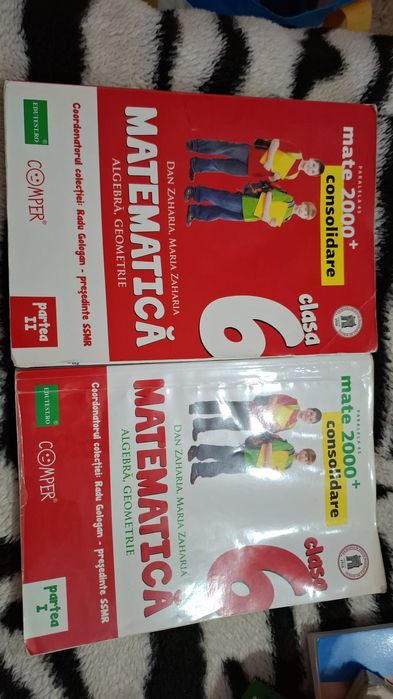 Pachet 2 carti matematică clasa a 6a.