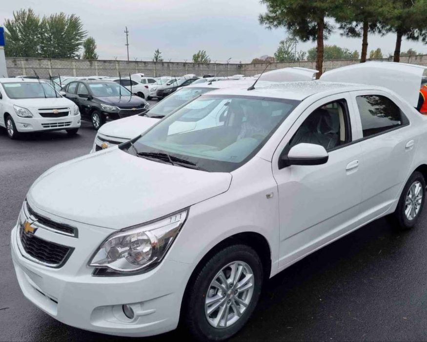 **‼️Cobalt xammasi bor‼️