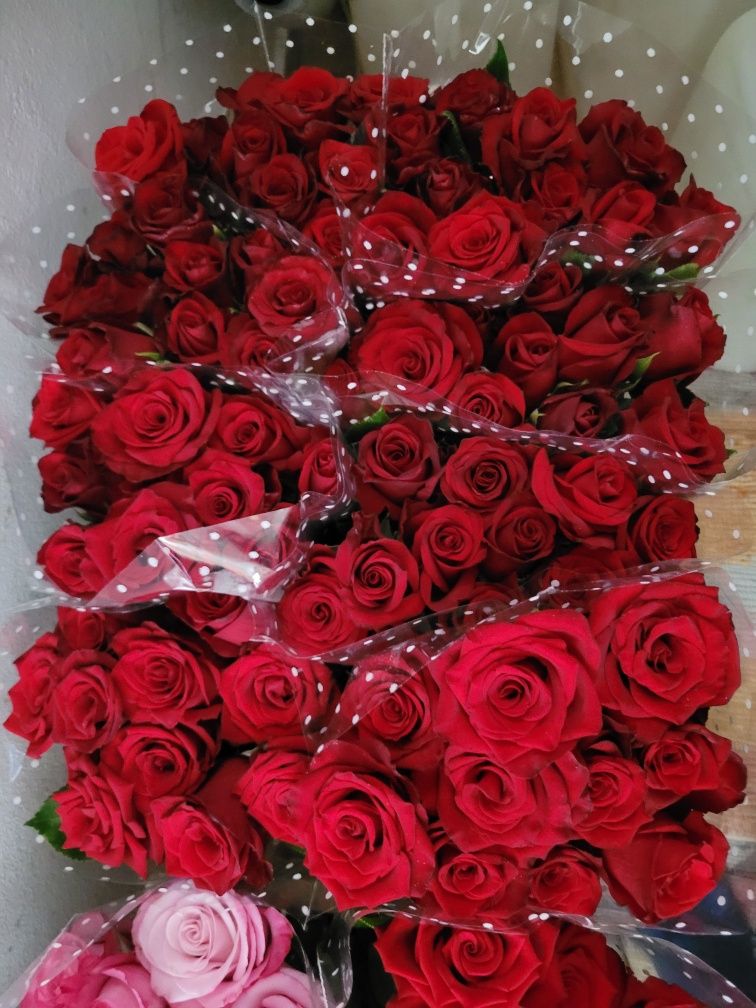 Vînd trandafir de tăiat în ghiveci 5 l. Anul 4.