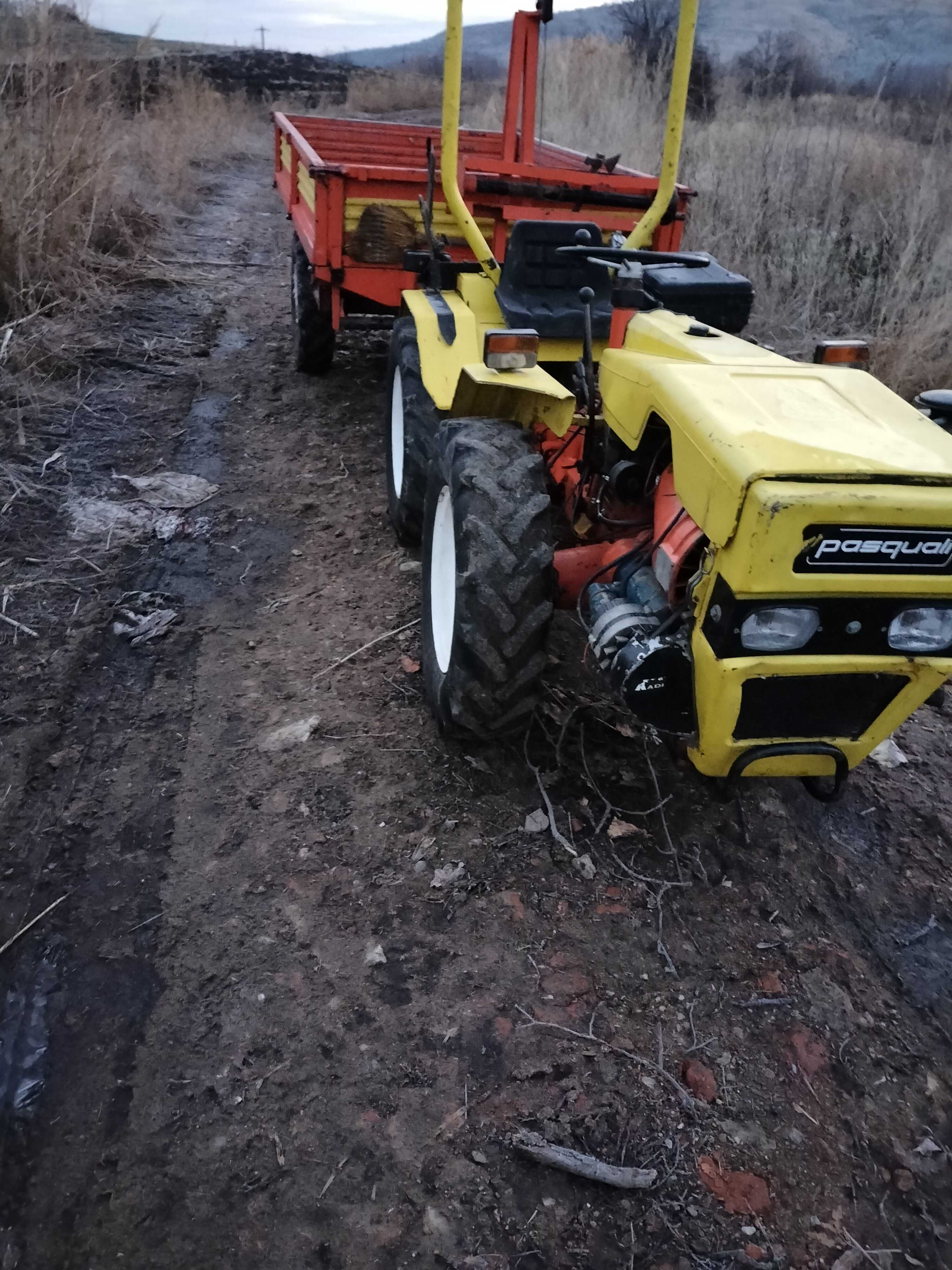 Vând tractor pasqali nu