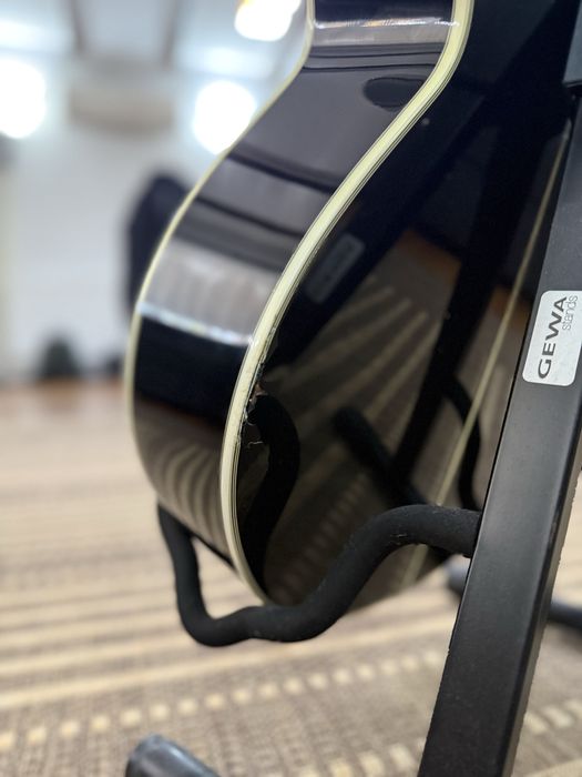 Vand Chitara Takamine G series