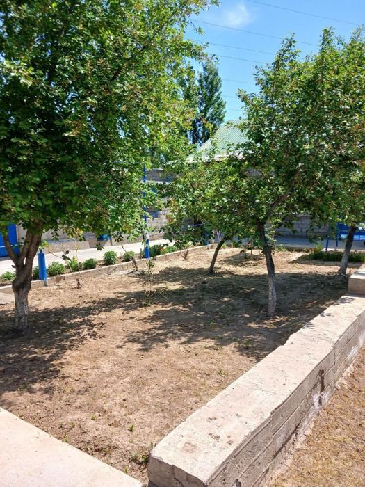 8-суточный участок  ташкентская область Адрес: Бустонлик район