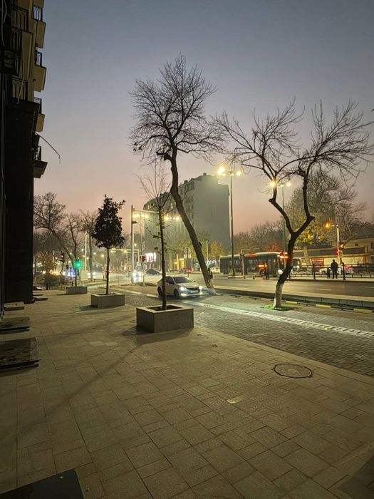 Нежилое Новостройка Шота Руставели “Shoshkent” 181 кв.м фасад 14 метр