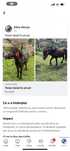 Vind poneii detalii privat