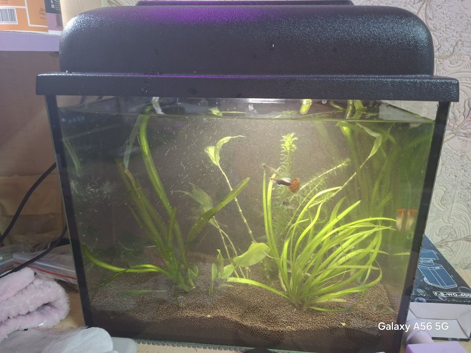 Аквариум 15 литров