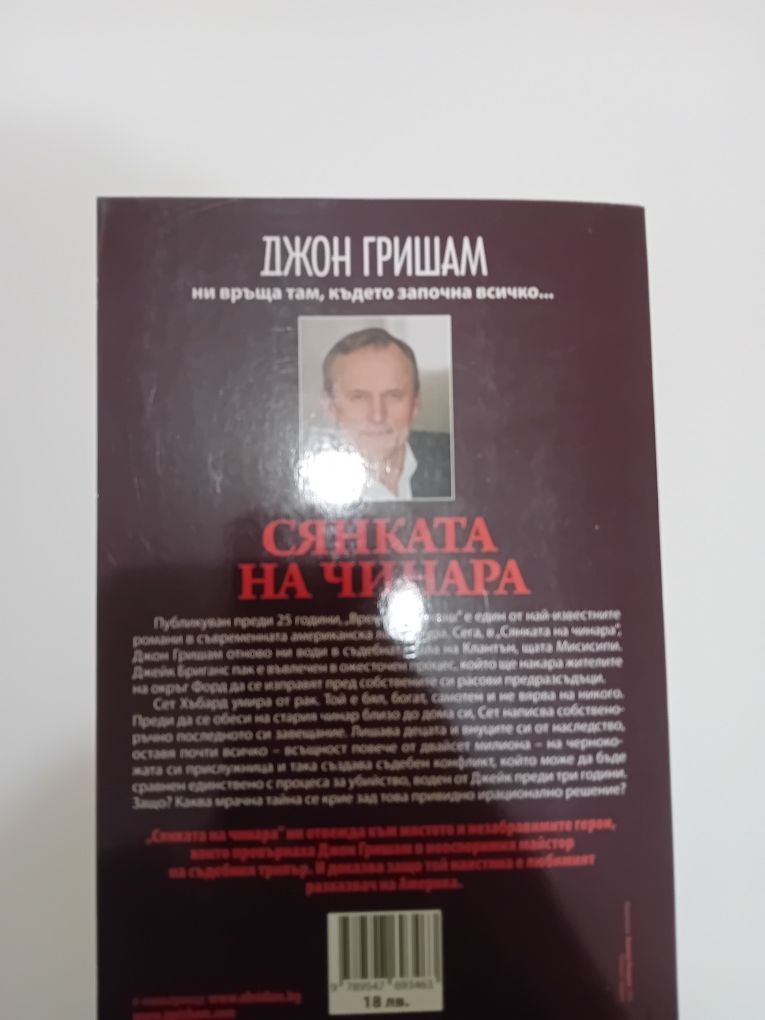 Роман на (сянката на чинара)