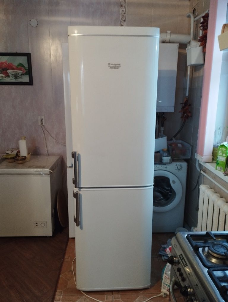 Холодильник, Аристон