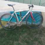 Cursiera/Fitnesbike Wheeler