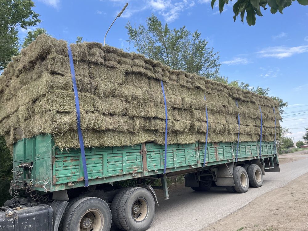 Продаем Сено тюковое разнотравие.(Сено)Тюк