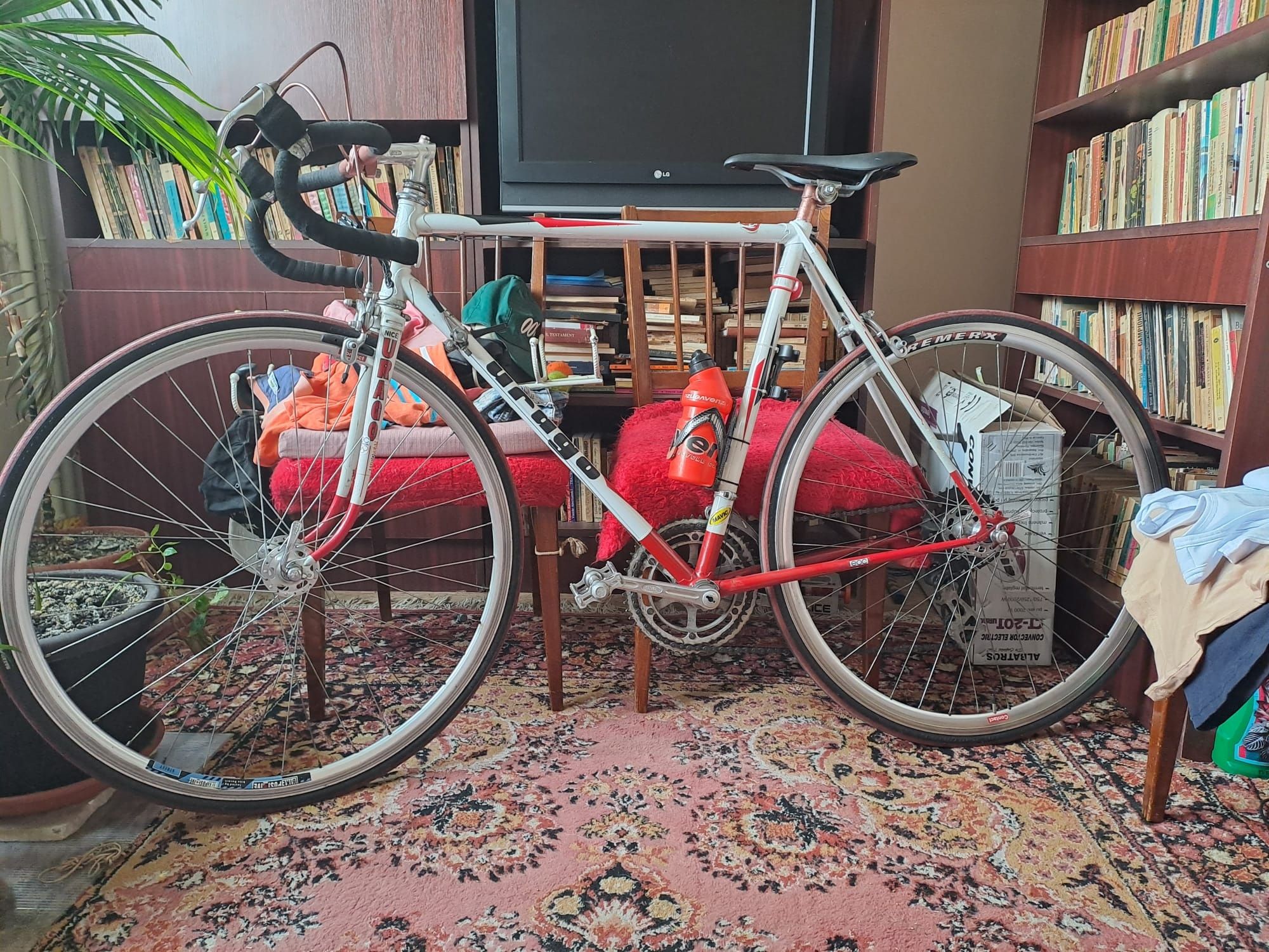 Bicicleta cursiera Urago