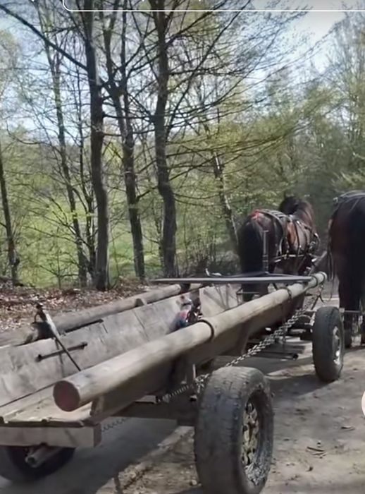 Căruță de vânzare