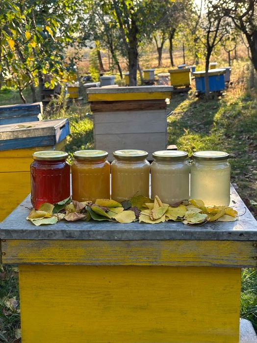 Vând miere de mană 100% naturală - 2025 - stupină proprie