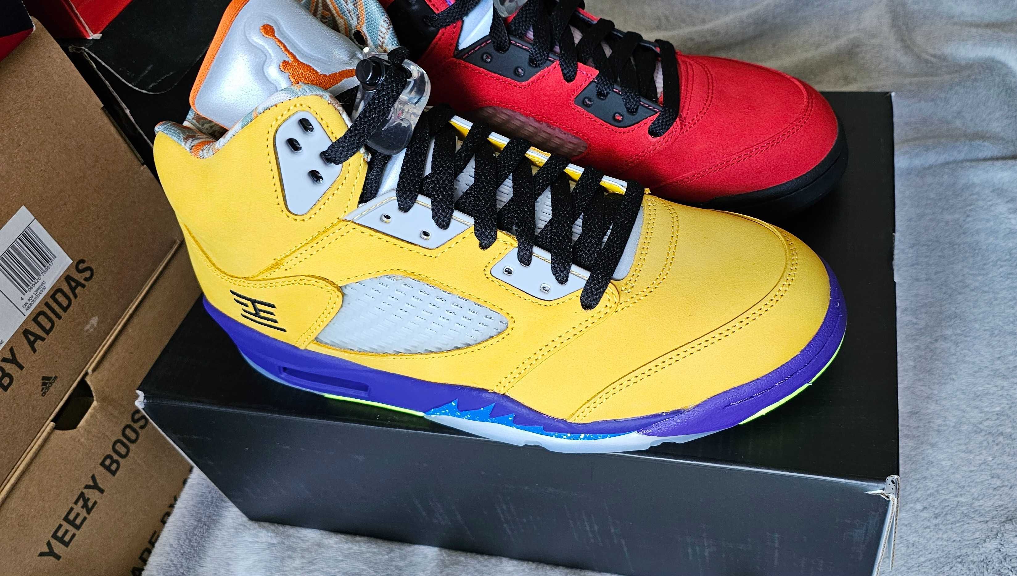 Air Jordan 5 What The