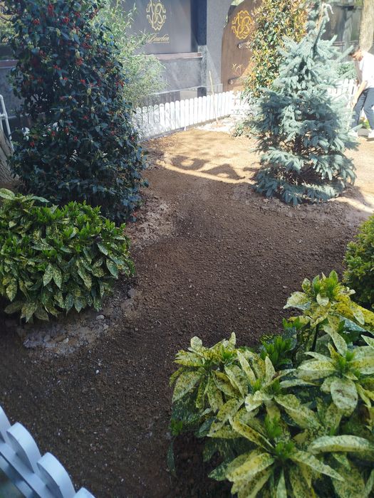 Идеальный газон для вашего двора свежий густой зелёный от 16 до 65 тыс