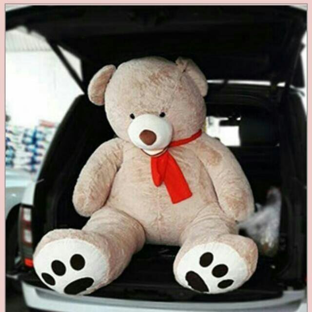 Мишки плюшевые большие