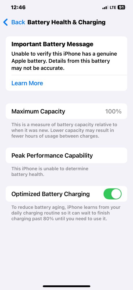 iPhone Xs Max 256/100%