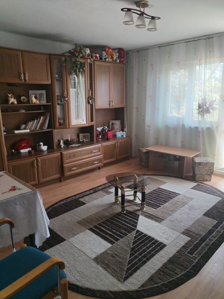 Vând apartament Câmpul albinelor (Santoma)