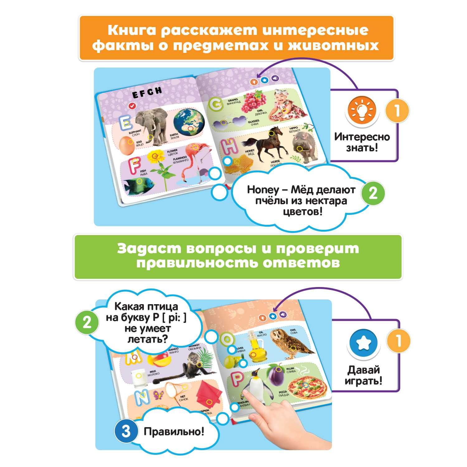 Говорящая книга Нажималка Английский Алфавит