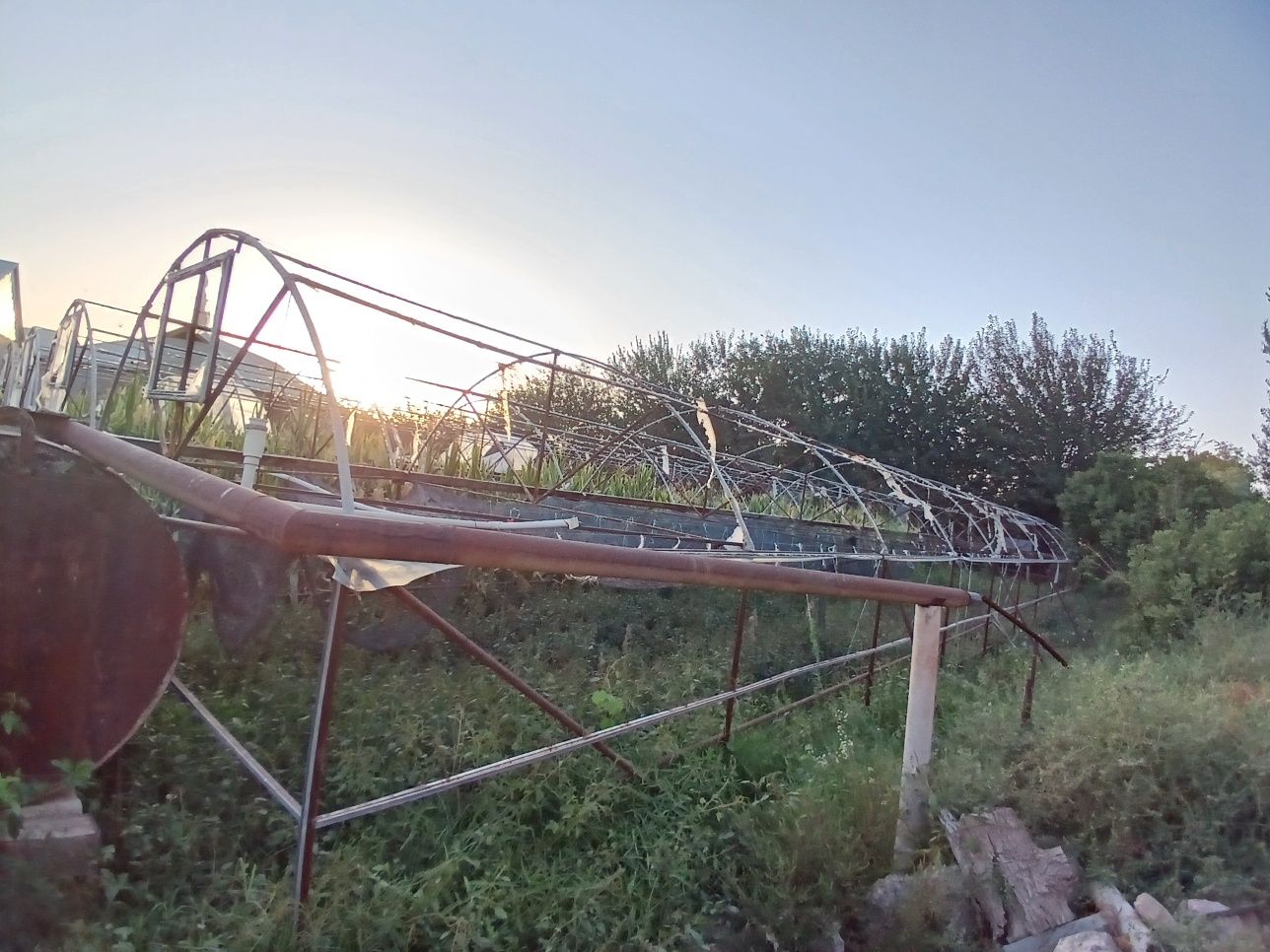 Tiplitsa 6 sotix