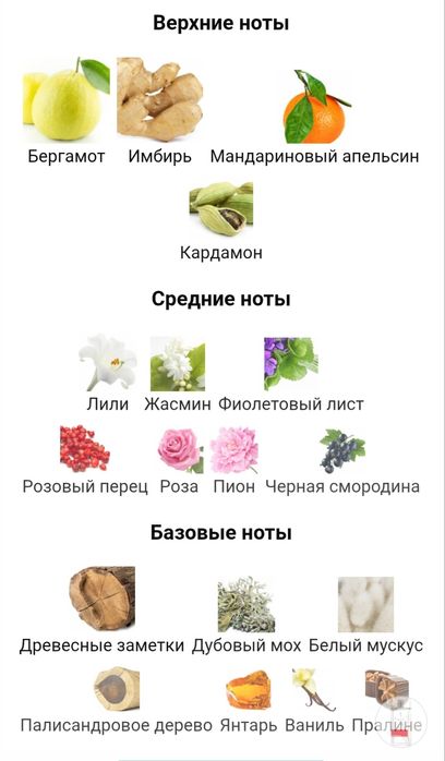 Armand Basi in red туалетная вода 100мл