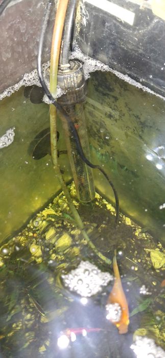 Acvariu 120 L cu mobilier complet echipat