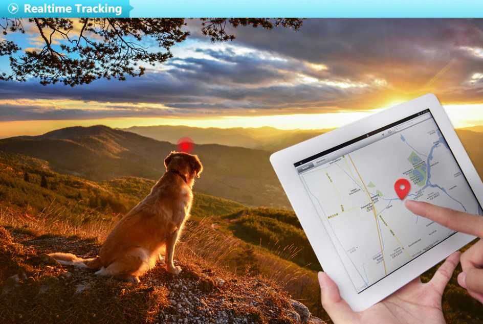 GPS Tracker pentru animale Impermeabil Mini Localizator  monitorizare