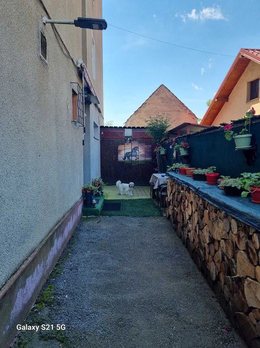 Feldioara   2 nedecomandate 65000 euro