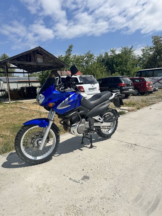 SUZUKI XF650 freewind