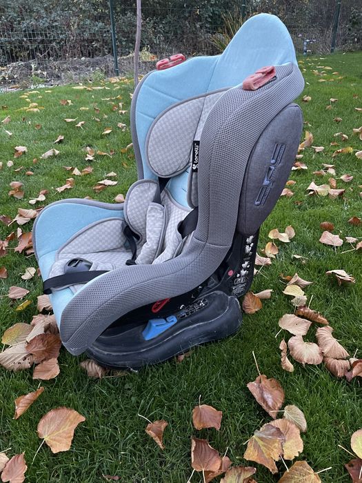 Столчета за кола Lorelli и Chipolino