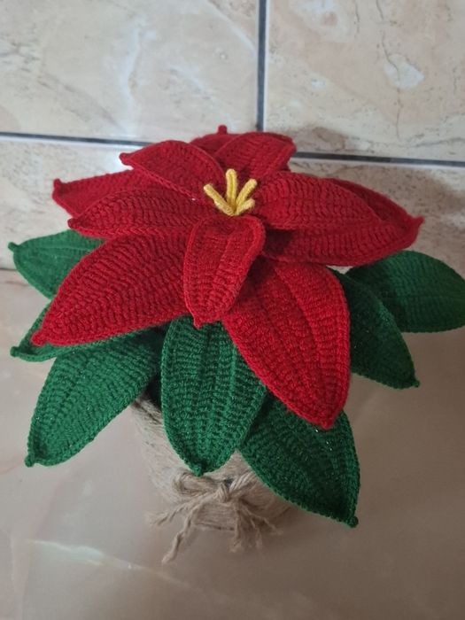 Craciunita crosetata