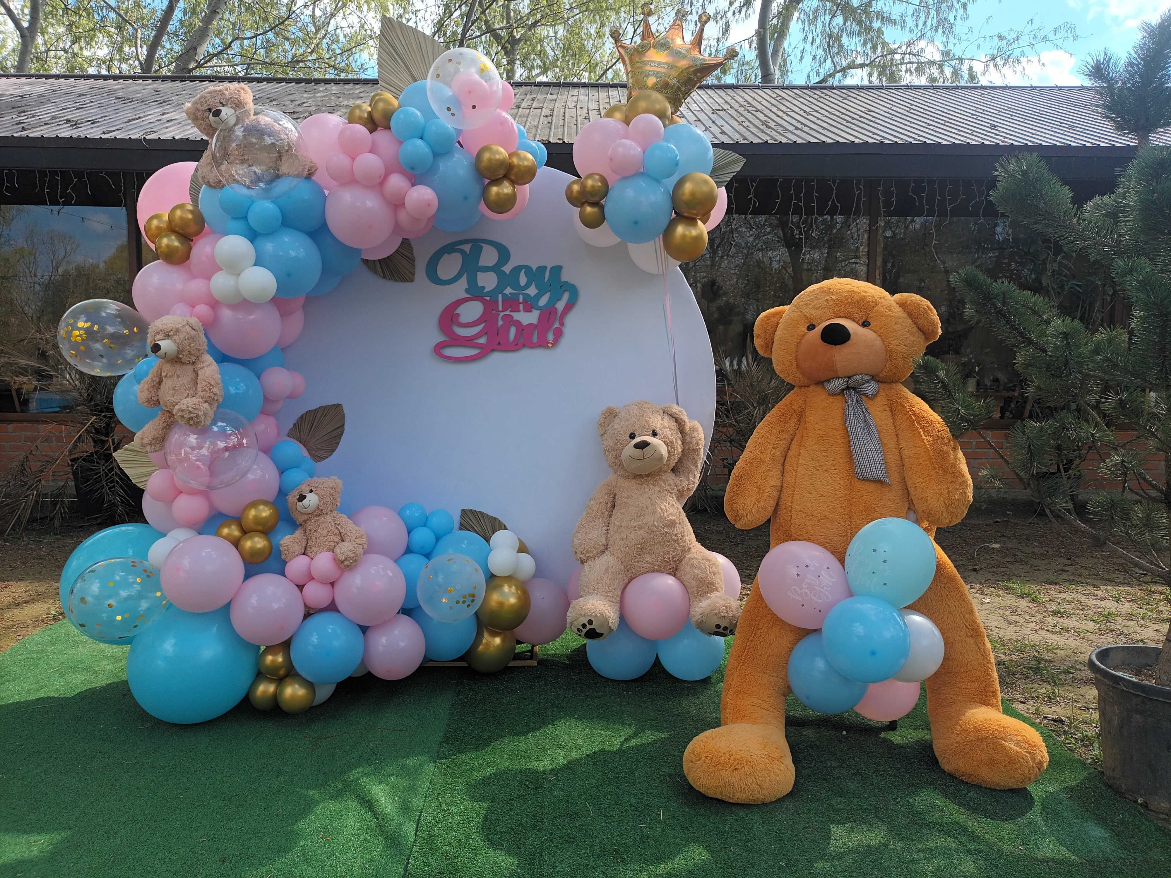 Gender reveal party Arcada baloane/Fumigene Baby shower petrecere