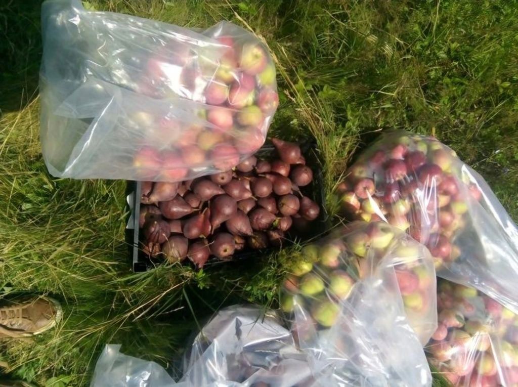 Livadă Sântimbru
