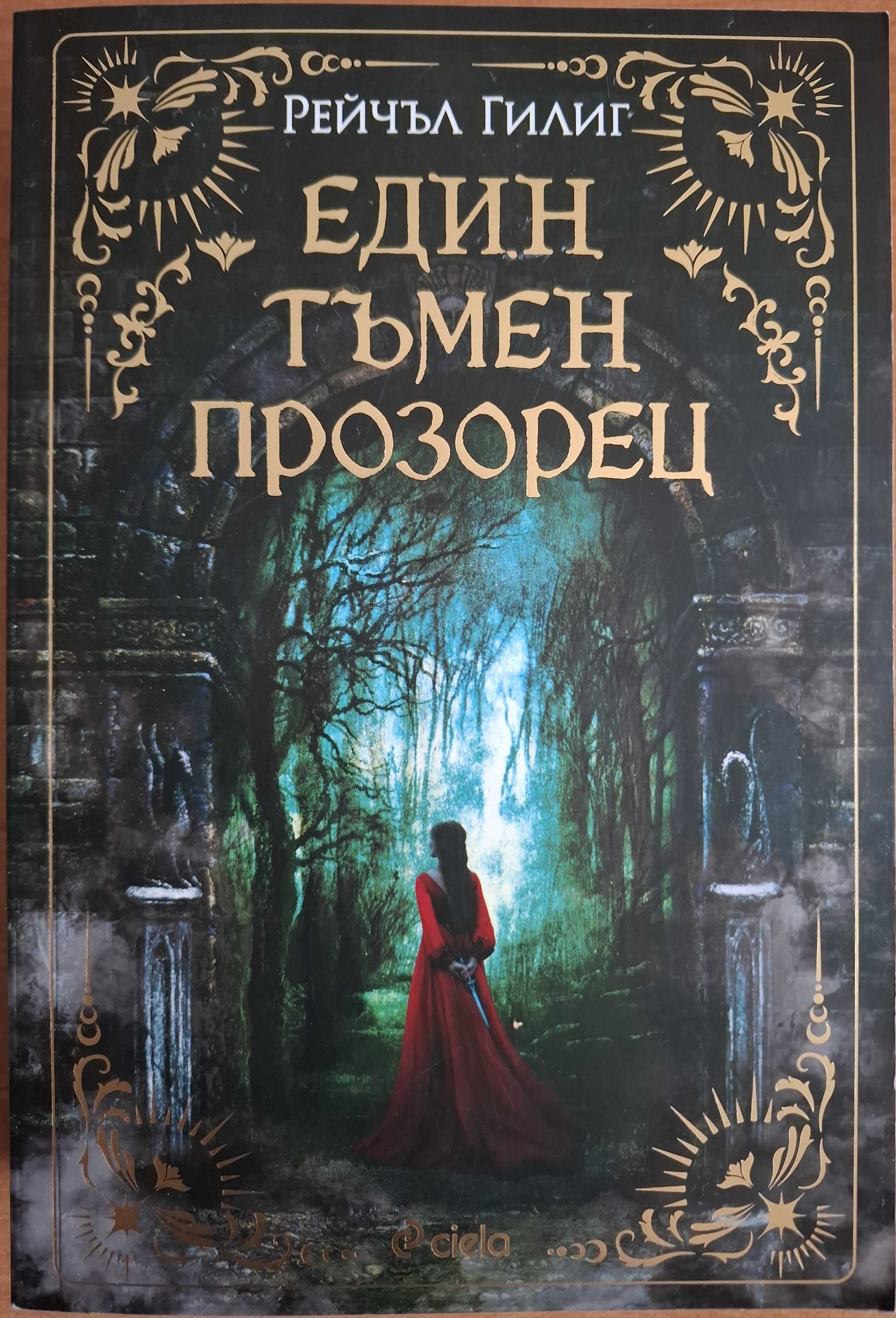 Един тъмен прозорец - Рейчъл Гилиг