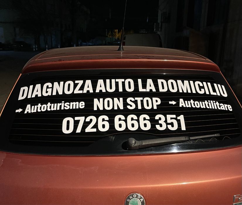 Diagnoza auto la domiciliu NON-STOP Mecanica ușoară ( tester )